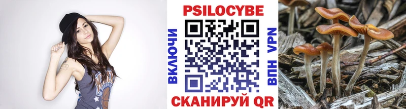 Псилоцибиновые грибы Psilocybine cubensis Надым