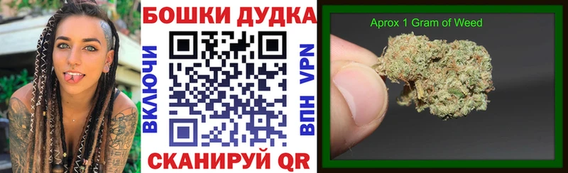 Бошки марихуана Amnesia  даркнет состав  Надым  купить наркотики цена 
